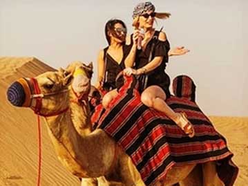 Camel Riding Dubai - Evening