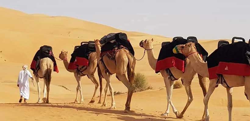 camel-riding-3