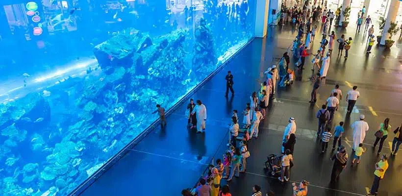 Dubai City Tour 8 Dubai City Tour - dubai aquarium