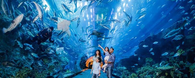 Dubai Aquarium - Underwater Zoo
