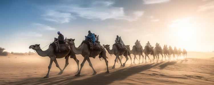 Camel Riding in Dubai Desert - Exploring Why Dubai Desert Safari Reigns as the Ultimate Adventure Globally