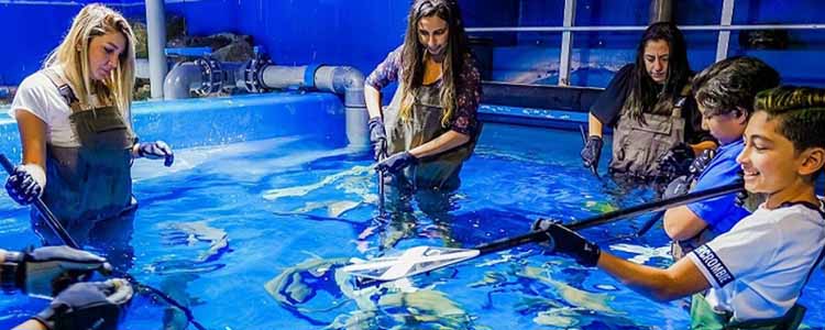 Tourist Kids & Girls Fishing at Dubai Aquarium
