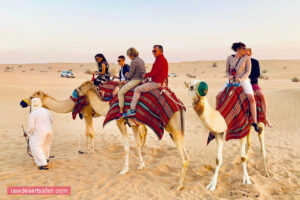 desert safari dubai camel ride 04 1