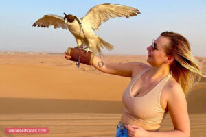 desert safari dubai falcon photos 01 1