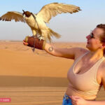 Tourist Woman holding Falcon