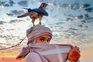 desert safari dubai falcon photos 03