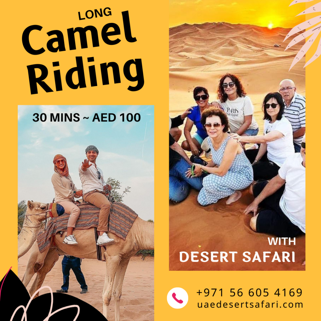 Long Camel Riding Dubai