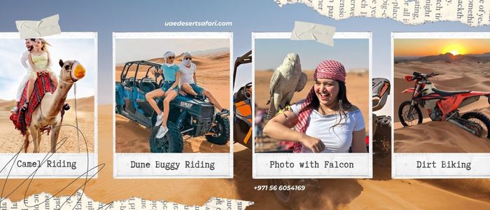 Family Desert Safari Alternatives