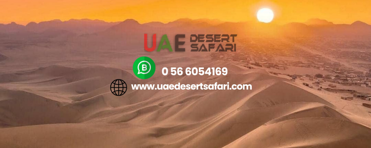 How Much Does Desert Safari Cost in Dubai? | Price & Packages Explained