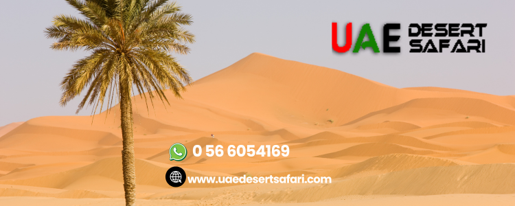 Is Private Desert Setup Safe at Night? | Night Desert Safari Experience Guide