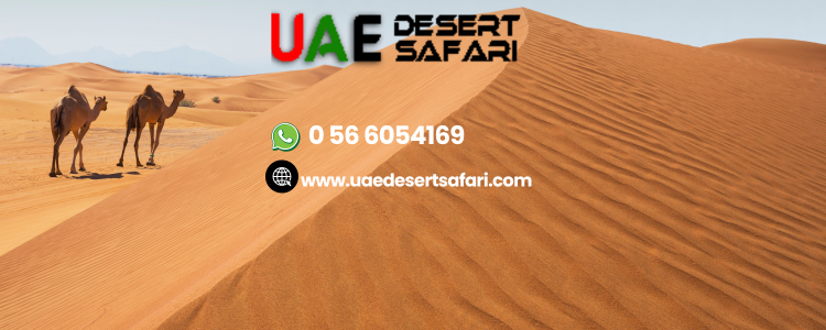 Can You Add Dune Bashing to Private Desert Setup? | Adventure & Luxury Combined
