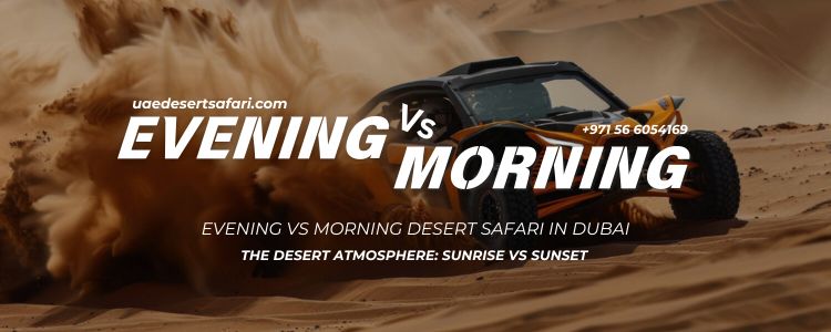 Evening vs Morning Desert Safari in Dubai