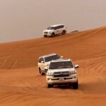 Desert Safari with Dune Bashing